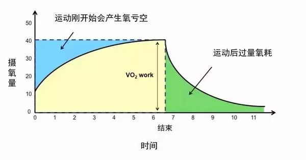 做氧运动是什么意思_有氧运动要做啥子运动_运动氧气